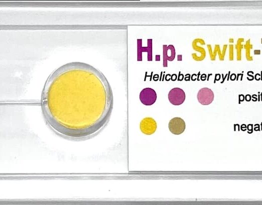 Szybki test na Helicobacter Pylori M203
